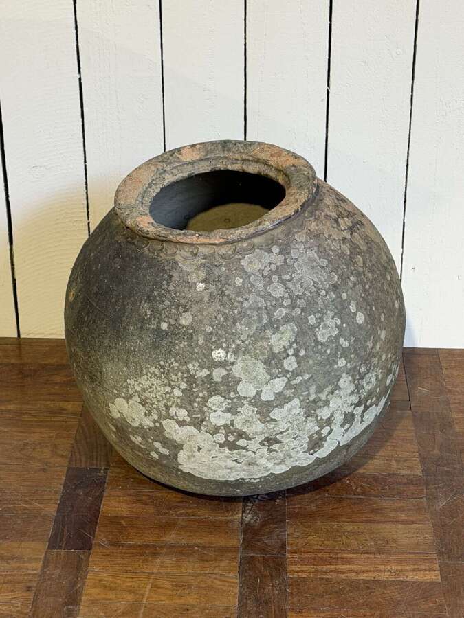 19th century French olive pot circa 1820
